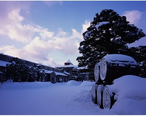 관세포함] 니카 위스키 미야기쿄 싱글 몰트 700ml 45%<br><small>ニッカウヰスキー 宮城峡 シングルモルト 700ml 45%</small>