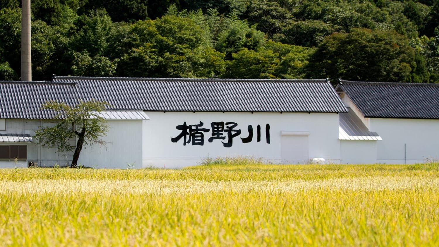 에지노가와 준마아다이긴죠 급류<br><small>楯野川 純米大吟醸 急流 </small>